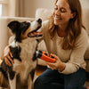 Ultrasonic Anti-Bark Device -FREE SHIPPING