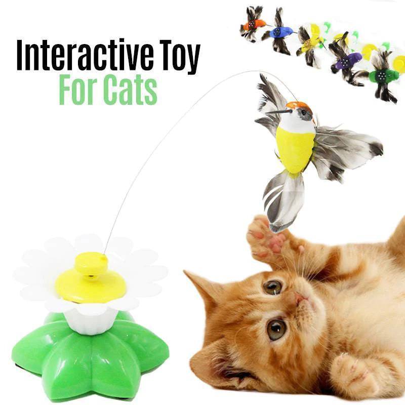Interactive Bird Toy For Cats - FREE TODAY ONLY - Classy Pet Life