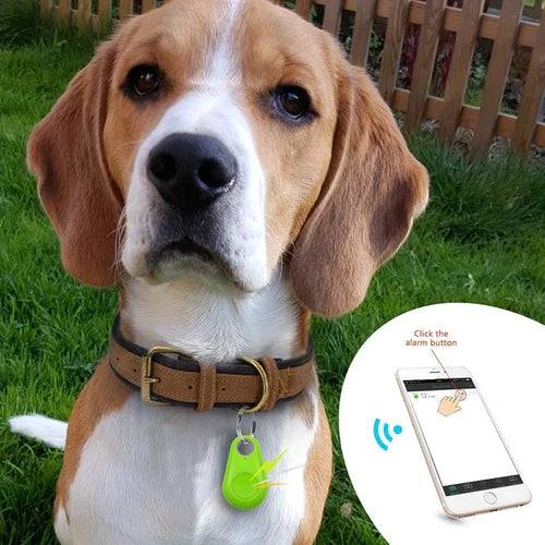 Bluetooth and GPS Pet Wireless Tracker - FREE TODAY ONLY - Classy Pet Life