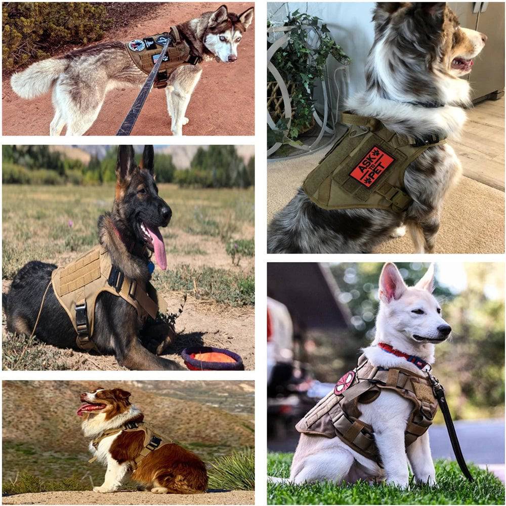 Military Tactical Dog Harness™ - Classy Pet Life