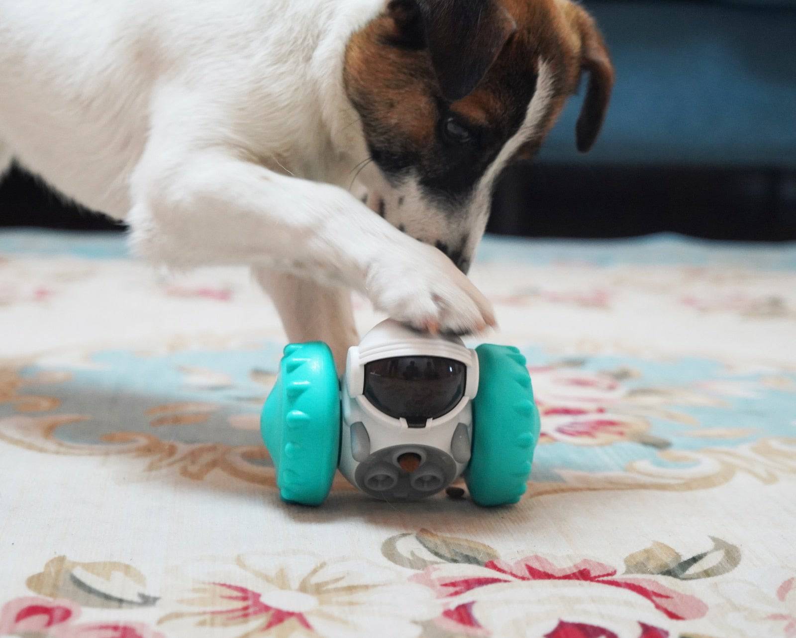 Interactive Tumbler Toy for Dogs - Free Shipping - Classy Pet Life