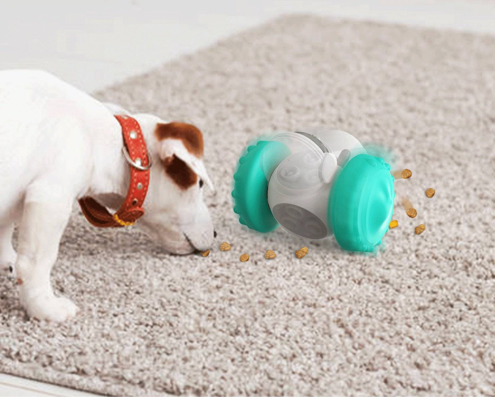 Interactive Tumbler Toy for Dogs - Free Shipping - Classy Pet Life