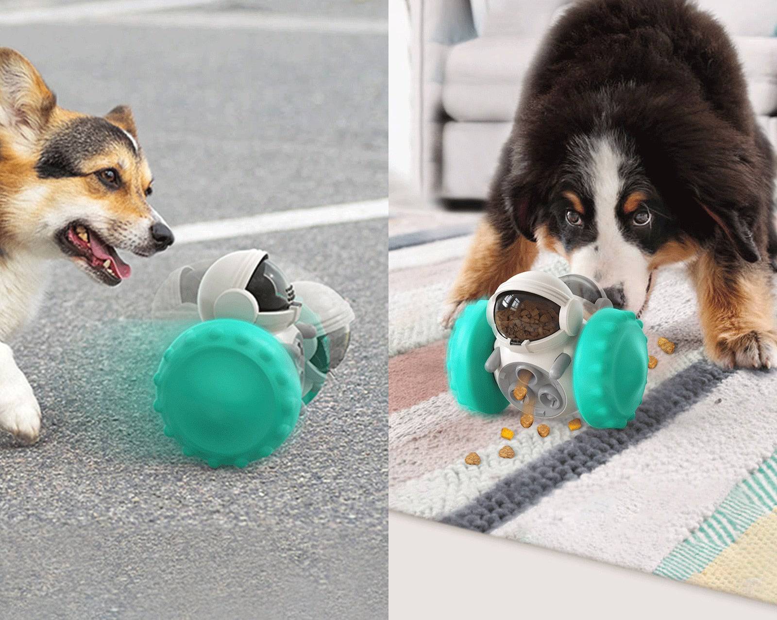 Interactive Tumbler Toy for Dogs - Free Shipping - Classy Pet Life