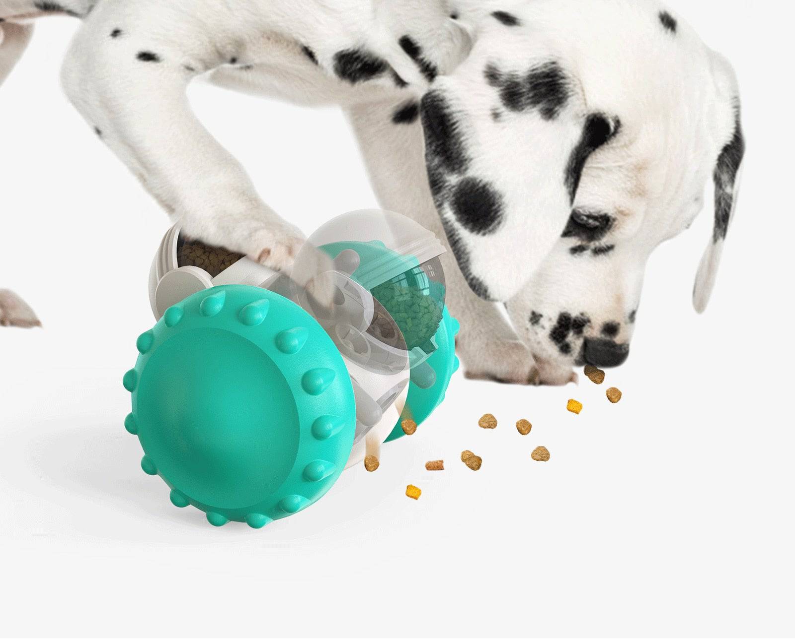 Interactive Tumbler Toy for Dogs - Free Shipping - Classy Pet Life