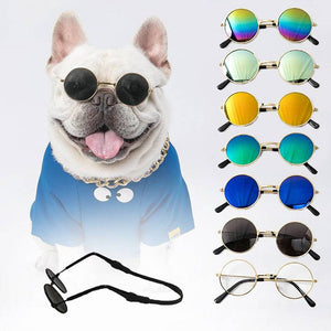 Pet Cool Sunglasses - FREE TODAY - Classy Pet Life