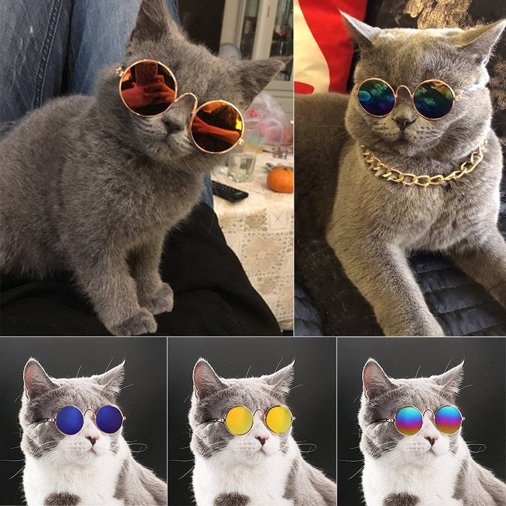 Pet Cool Sunglasses - FREE TODAY - Classy Pet Life