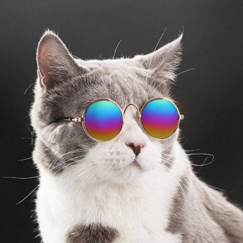 Pet Cool Sunglasses - FREE TODAY - Classy Pet Life