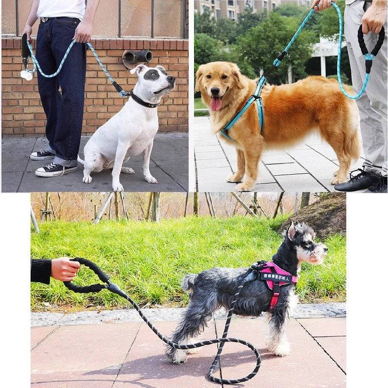 Strong Nylon Reflective Dog Leash - 50% + FREE SHIPPING - Classy Pet Life