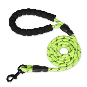 Strong Nylon Reflective Dog Leash - 50% + FREE SHIPPING - Classy Pet Life