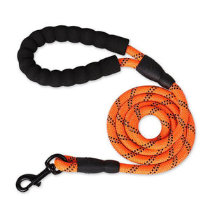 Strong Nylon Reflective Dog Leash - 50% + FREE SHIPPING - Classy Pet Life