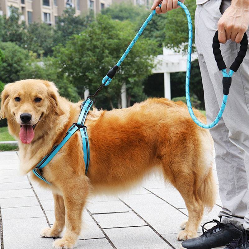 Strong Nylon Reflective Dog Leash - FREE SHIPPING - Classy Pet Life