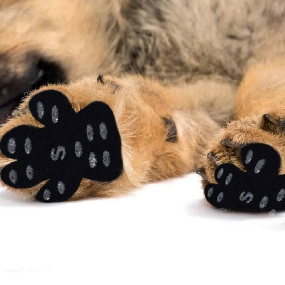 Dog Paw Protectors - FREE TODAY ONLY - Classy Pet Life