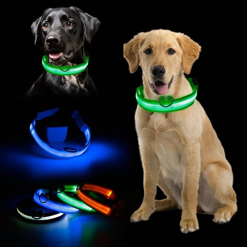 LED Pet Collar - Classy Pet Life