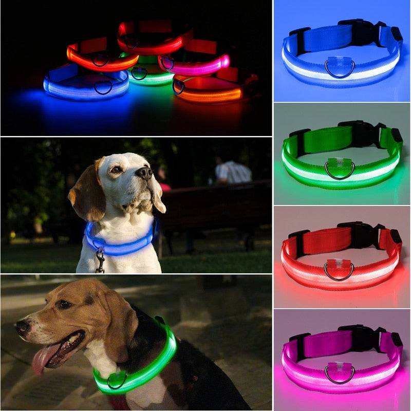 LED Pet Collar - Classy Pet Life