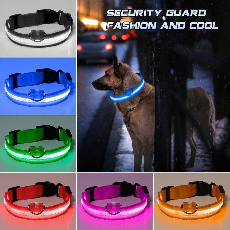 LED Pet Collar - Classy Pet Life