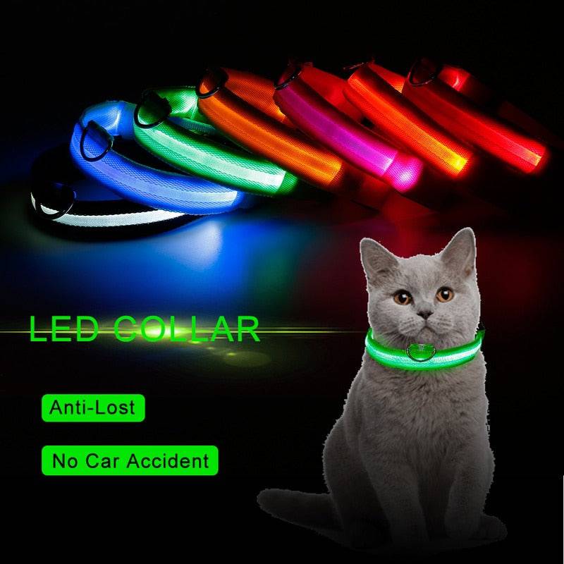 LED Pet Collar - Classy Pet Life