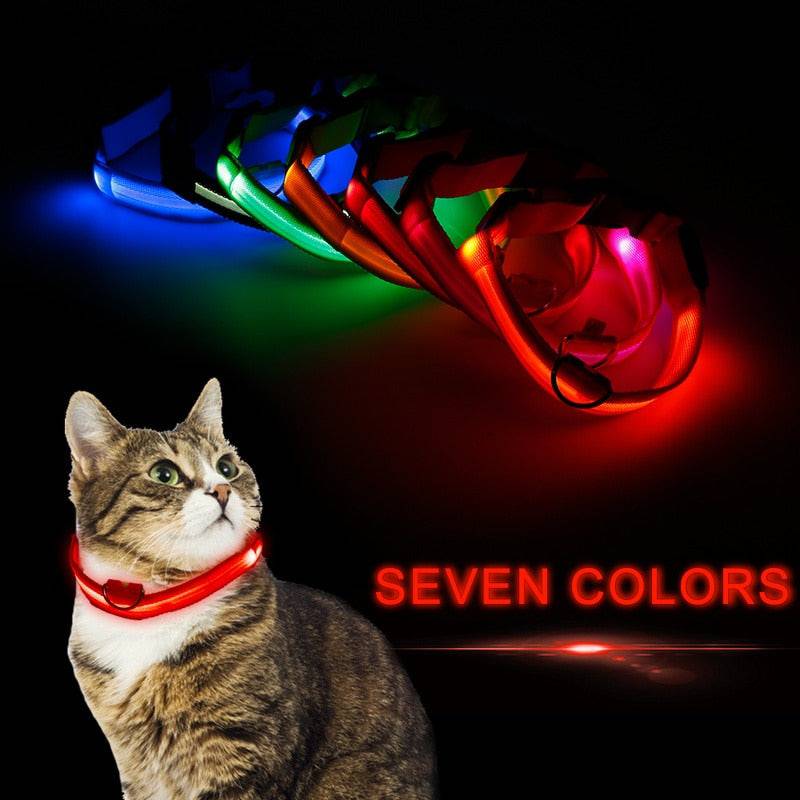 LED Pet Collar - Classy Pet Life