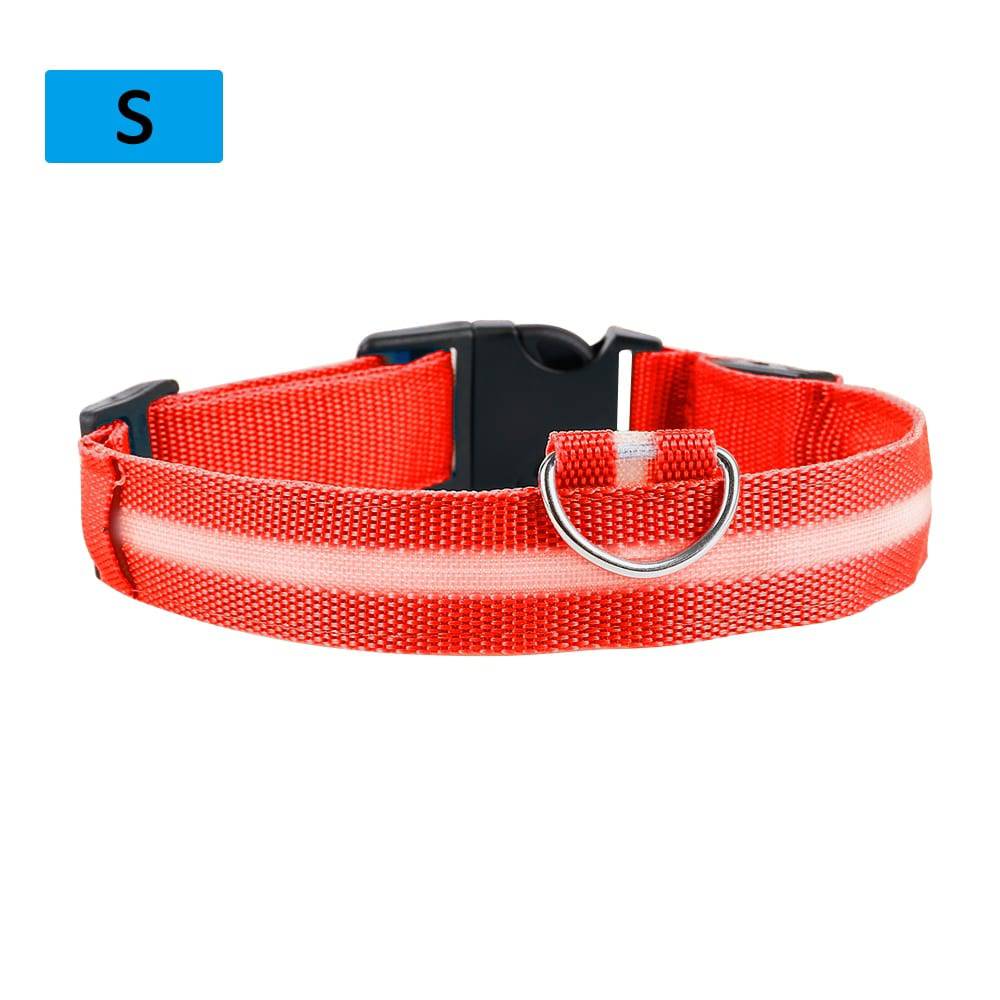 LED Pet Collar - Classy Pet Life