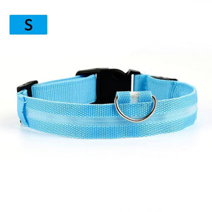 LED Pet Collar - Classy Pet Life