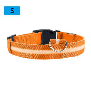 LED Pet Collar - Classy Pet Life