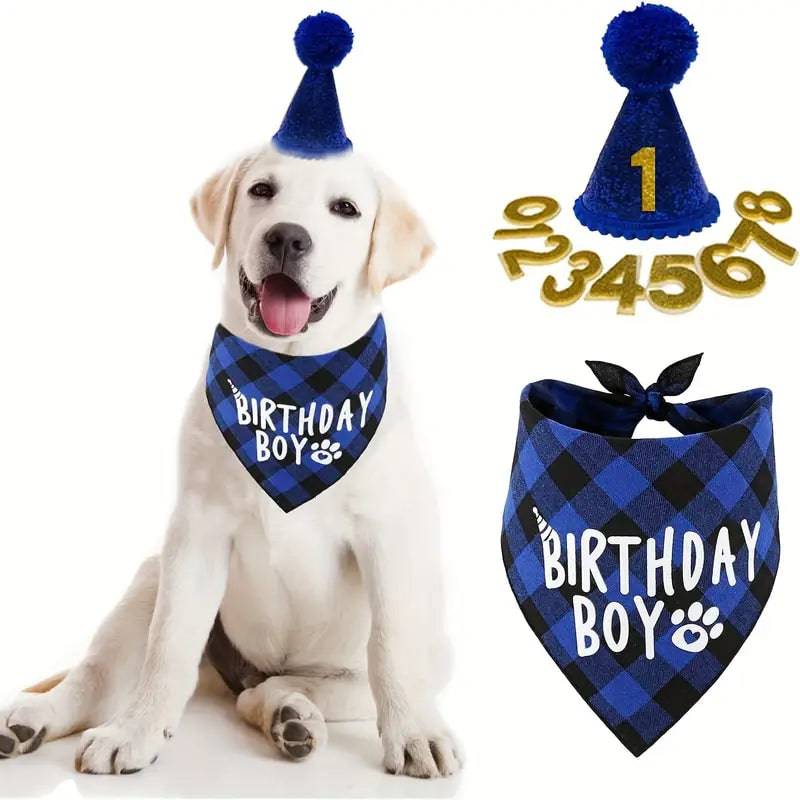 Birthday Outfit - Free Today - Classy Pet Life