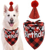 Birthday Outfit - Free Today - Classy Pet Life