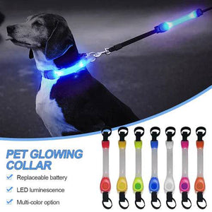 Led Strip For Pet Leash-FREE TODAY ONLY - Classy Pet Life