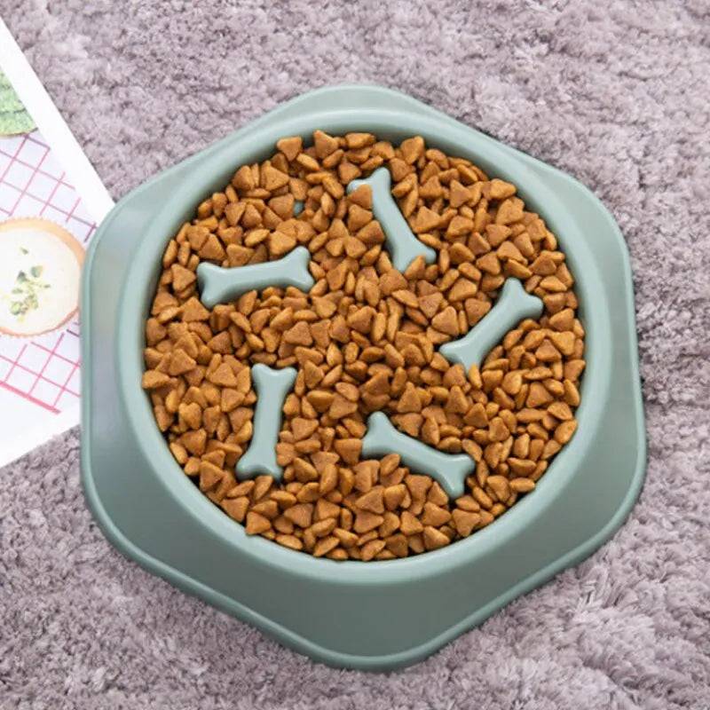 Slow Feeder Dog Bowl - FREE TODAY ONLY - Classy Pet Life