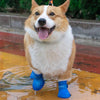 Pet Rain Boots - FREE TODAY ONLY - Classy Pet Life