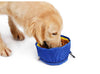 Foldable Dog Food/Water Bowl -FREE TODAY ONLY - Classy Pet Life