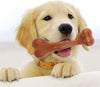 INDESTRUCTIBLE DOG BONE - FREE TODAY ONLY - Classy Pet Life