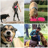 Travel Dog Diner Set - Free Shipping - Classy Pet Life