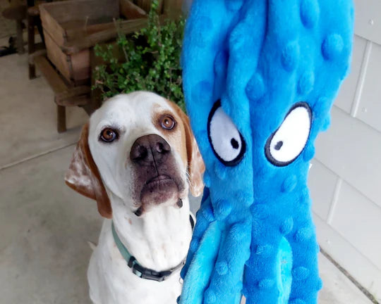 OctoPlay™ Plush Dog Toy - FREE Today Only - Classy Pet Life