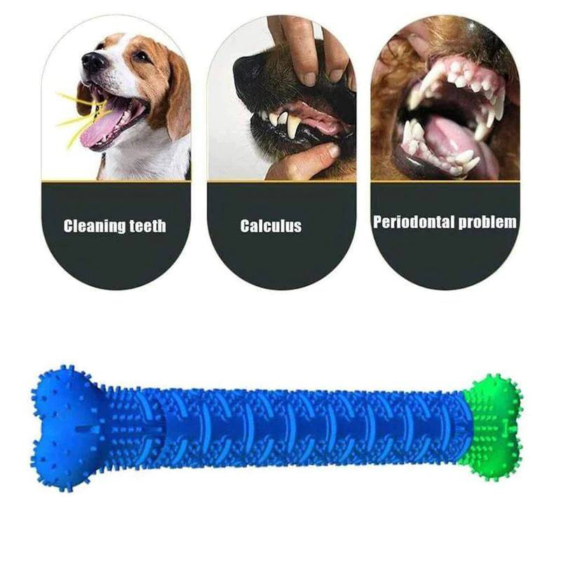 Dog chew toothbrush-FREE TODAY ONLY - Classy Pet Life