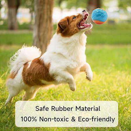 Dog Squeaky  Ball -FREE TODAY ONLY - Classy Pet Life