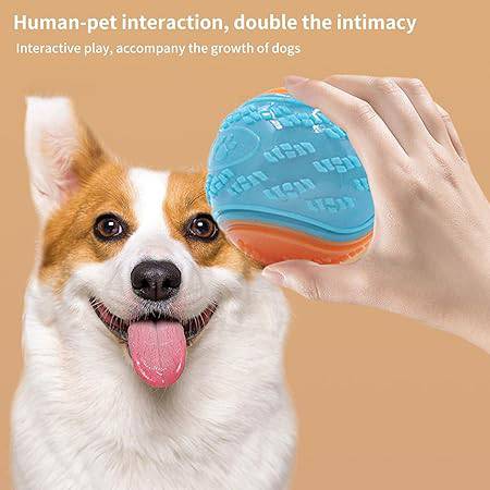 Dog Squeaky  Ball -FREE TODAY ONLY - Classy Pet Life
