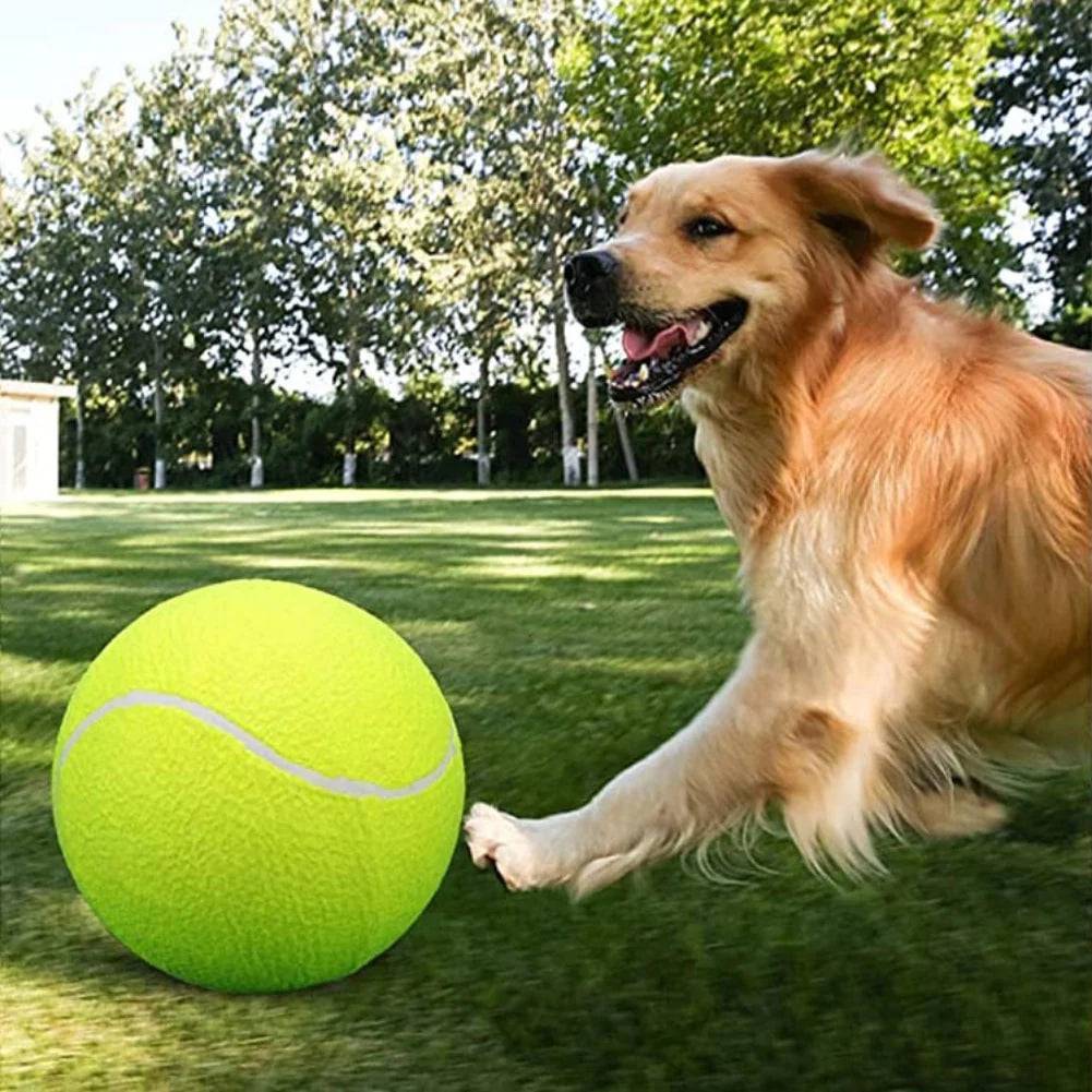 Giant Tennis Ball - FREE TODAY ONLY - Classy Pet Life