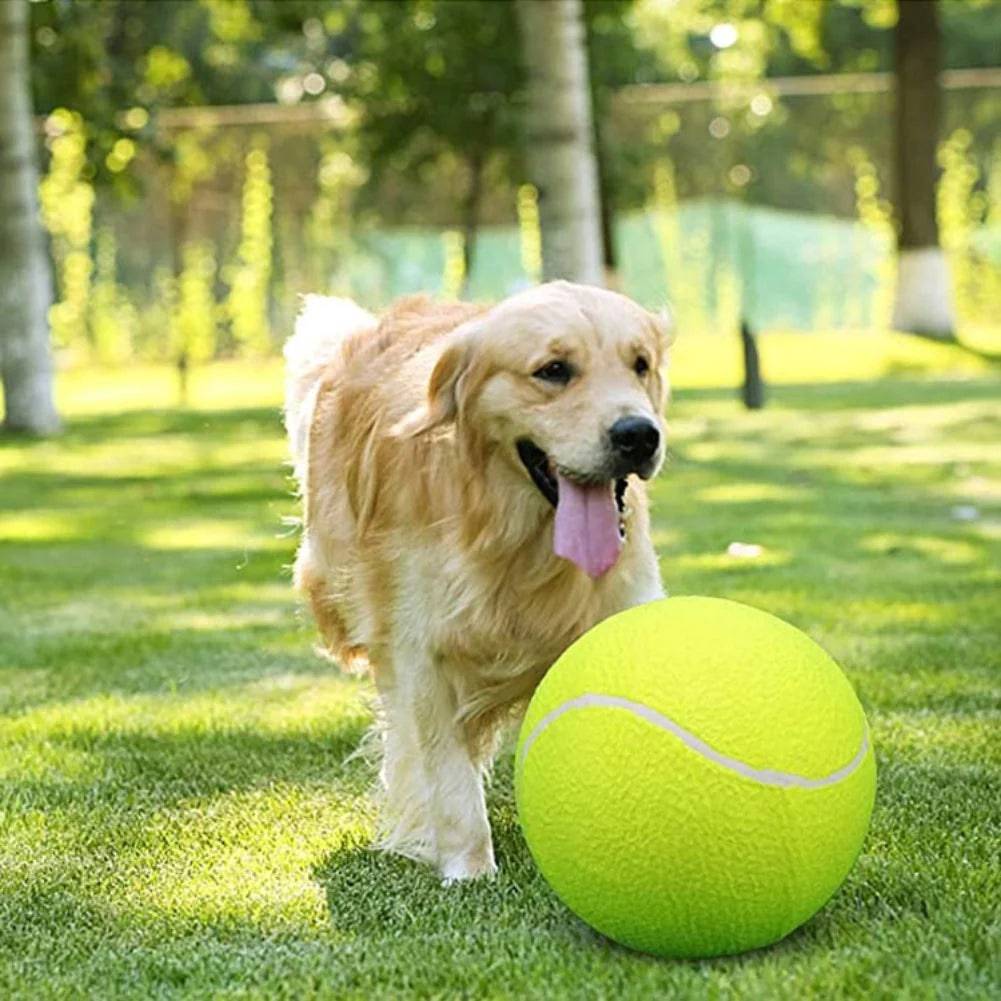 Giant Tennis Ball - FREE TODAY ONLY - Classy Pet Life