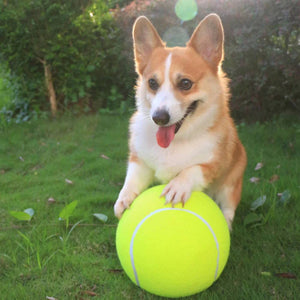 Giant Tennis Ball - FREE TODAY ONLY - Classy Pet Life