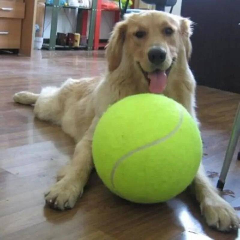 Giant Tennis Ball - FREE TODAY ONLY - Classy Pet Life