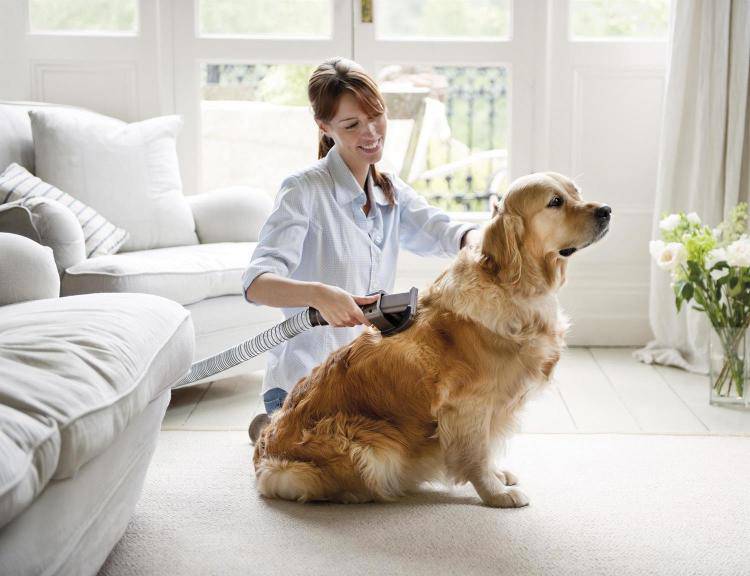 Groom Dog Brush Vacuum Attachment-FREE SHIPPING - Classy Pet Life