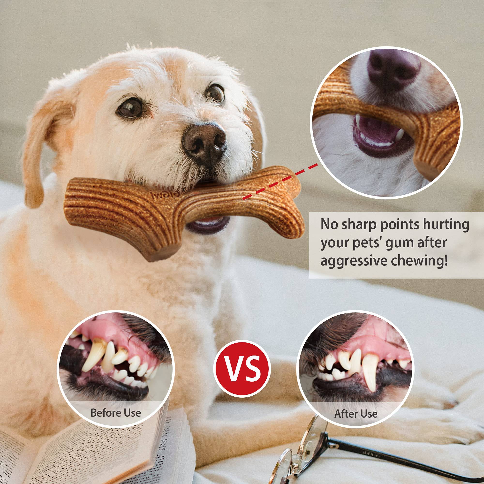 Wooden Dog Chew Toy-FREE TODAY ONLY - Classy Pet Life