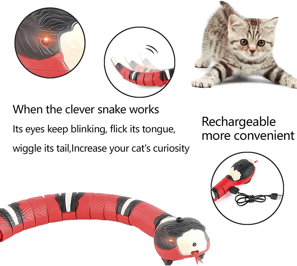 Smart Snake Toy - Classy Pet Life