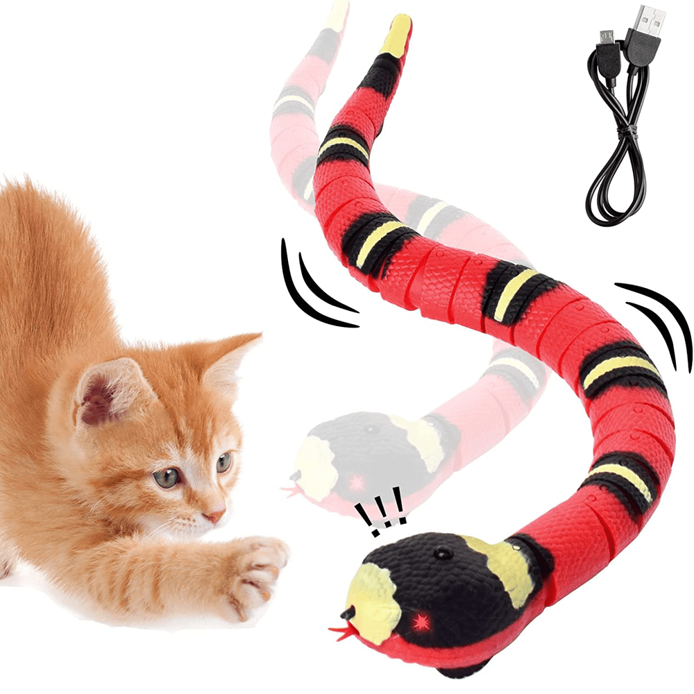 Smart Snake Toy - Classy Pet Life