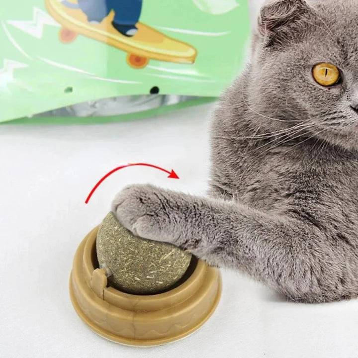 Wall Stick-on Catnip Ball Licker for Cats™ - FREE TODAY ONLY - Classy Pet Life