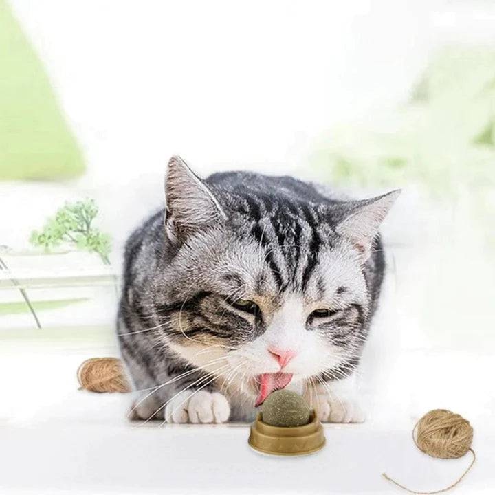 Wall Stick-on Catnip Ball Licker for Cats™ - FREE TODAY ONLY - Classy Pet Life