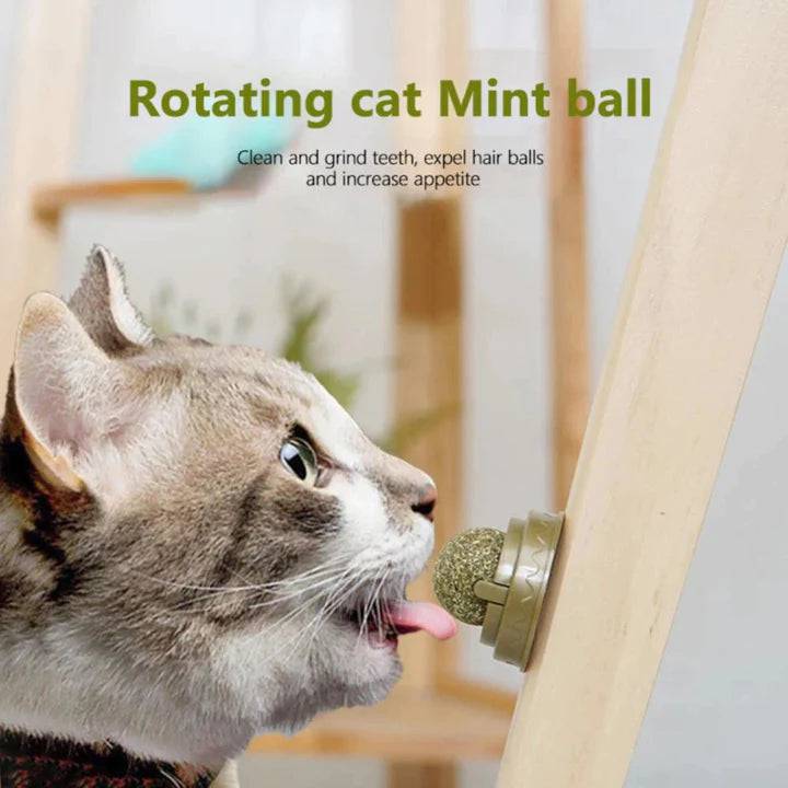 Wall Stick-on Catnip Ball Licker for Cats™ - FREE TODAY ONLY - Classy Pet Life