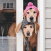 Pet Pompom Knitted Hat - FREE TODAY ONLY - Classy Pet Life