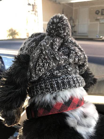 Pet Pompom Knitted Hat - FREE TODAY ONLY - Classy Pet Life