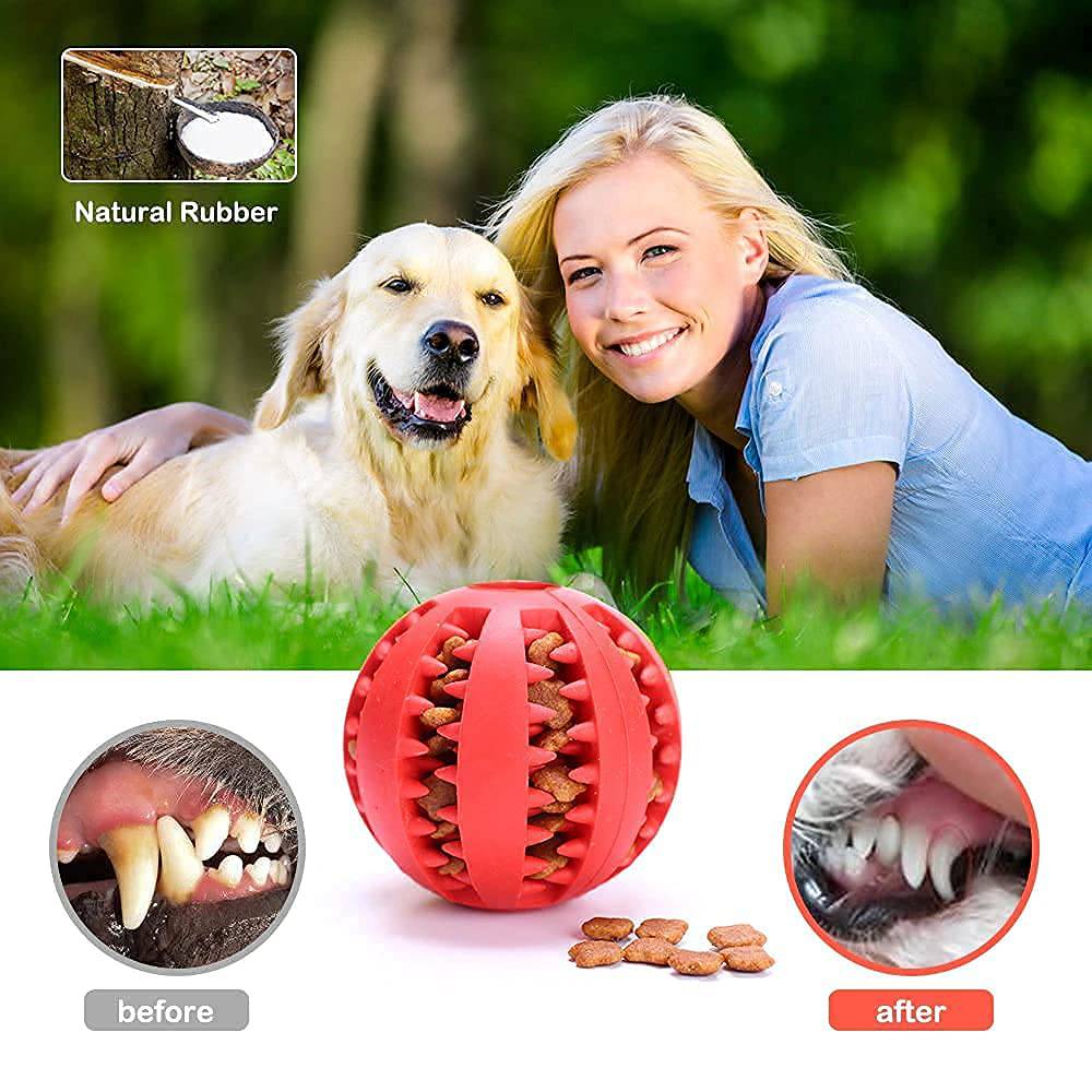 Pet Tooth Cleaning Treat Ball™ - FREE TODAY - Classy Pet Life